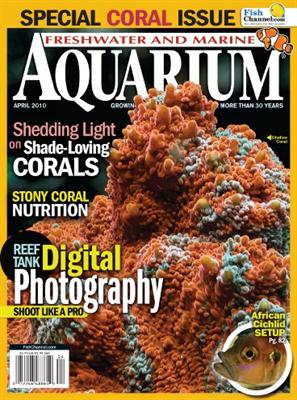 Freshwater and Marine Aquarium